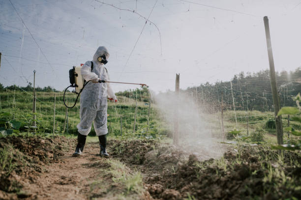 Best Commercial Pest Control Services  in Hollymead, VA