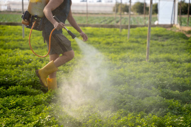 Best Pest Control for Restaurants  in Hollymead, VA
