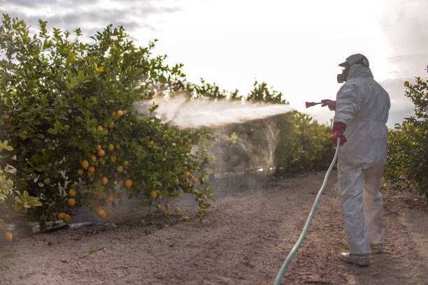 Best Residential Pest Control  in Hollymead, VA